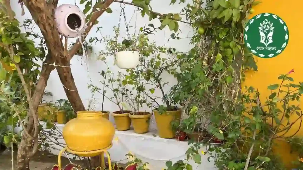 Naina Rathore in chittogarh